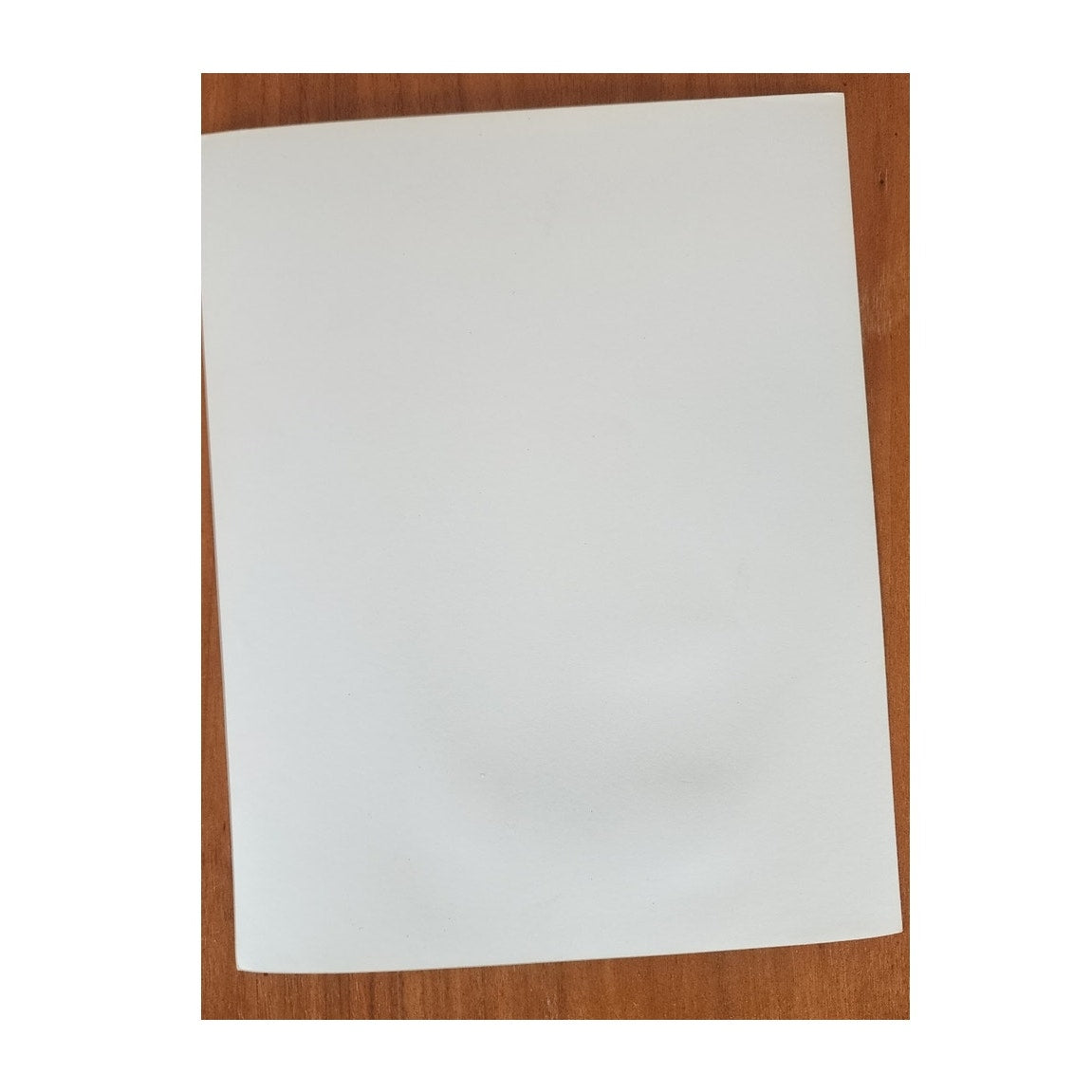 Original Publicity Photo Virginia Mayo 1945 RKO Wonder Man