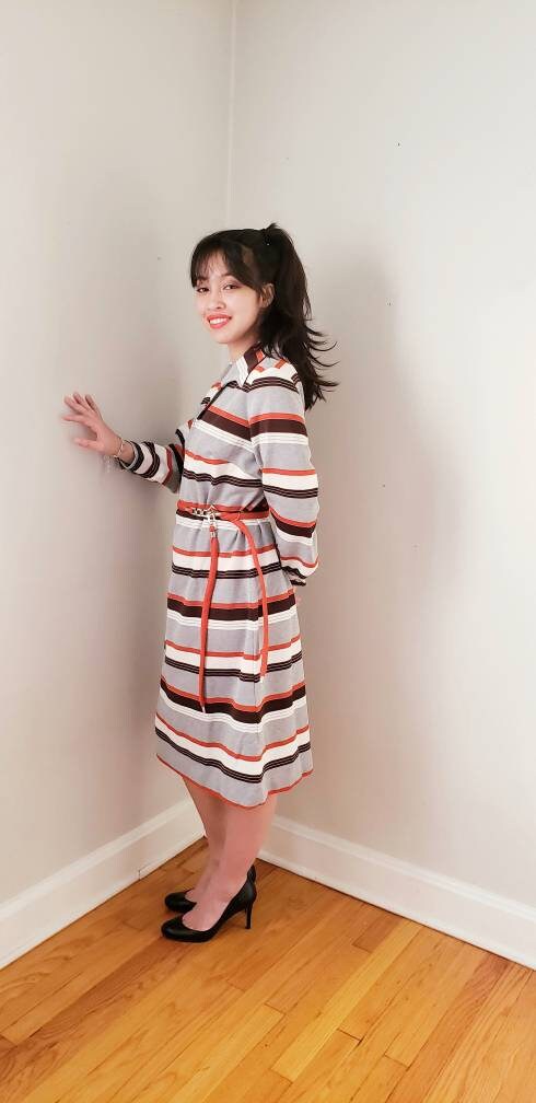 1970s Striped Day Dress Long Sleeved / 70s Belted Dress Gray Red Black Poly Bold Print / L / Daniela