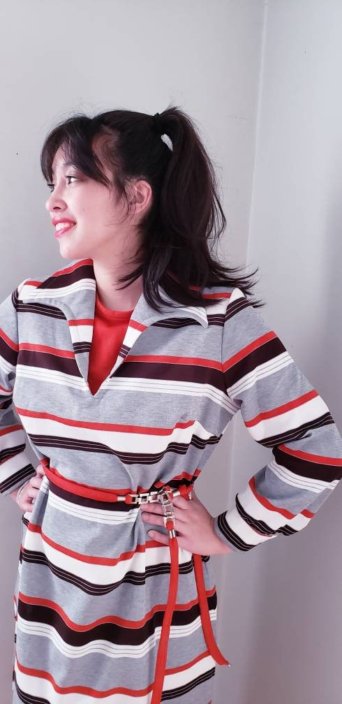 1970s Striped Day Dress Long Sleeved / 70s Belted Dress Gray Red Black Poly Bold Print / L / Daniela