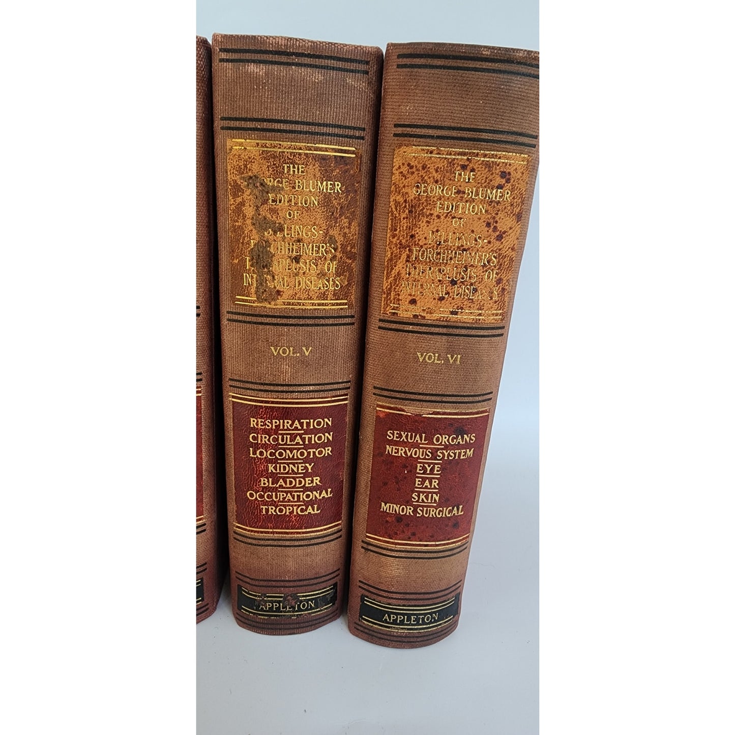 Antique Medical Books Complete Set George Blumer Billings-Forchheimer's Therapeusis of Internal Diseases 6 Volumes