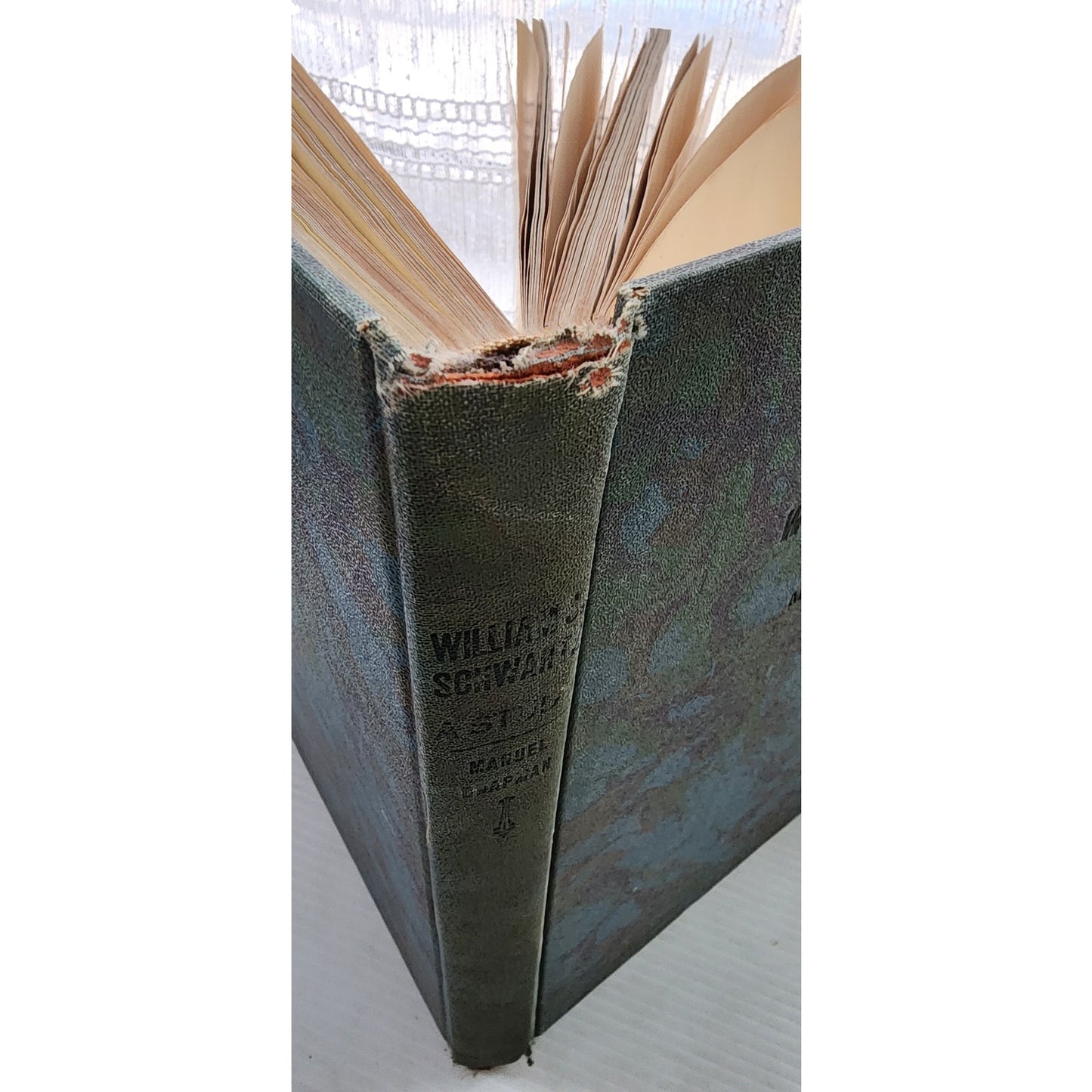 Art Book William S Schwartz A Study Manuel Chapman 1930 Chicago 2nd Ed