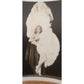 Vintage Photographs Sally Rand Chicago Burlesque Fan Dancer Pin-Up 1930s