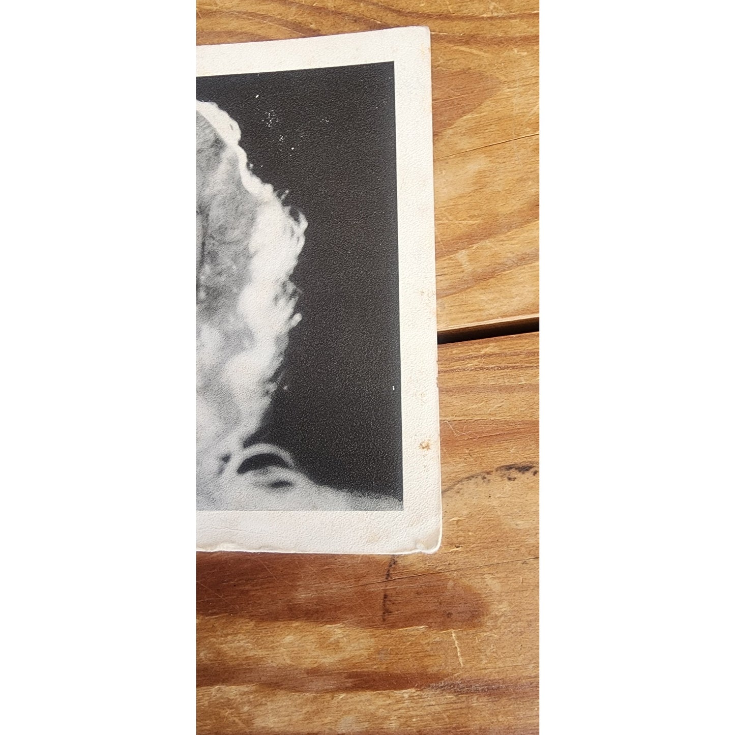 Vintage Photographs Sally Rand Chicago Burlesque Fan Dancer 1930s