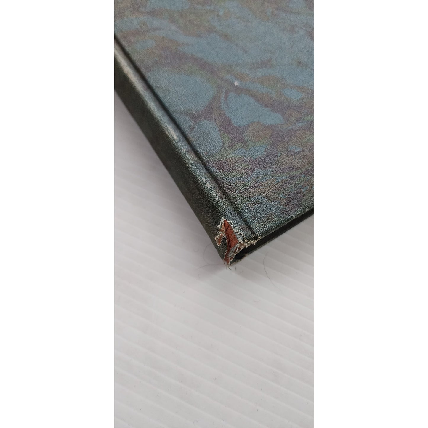 Art Book William S Schwartz A Study Manuel Chapman 1930 Chicago 2nd Ed