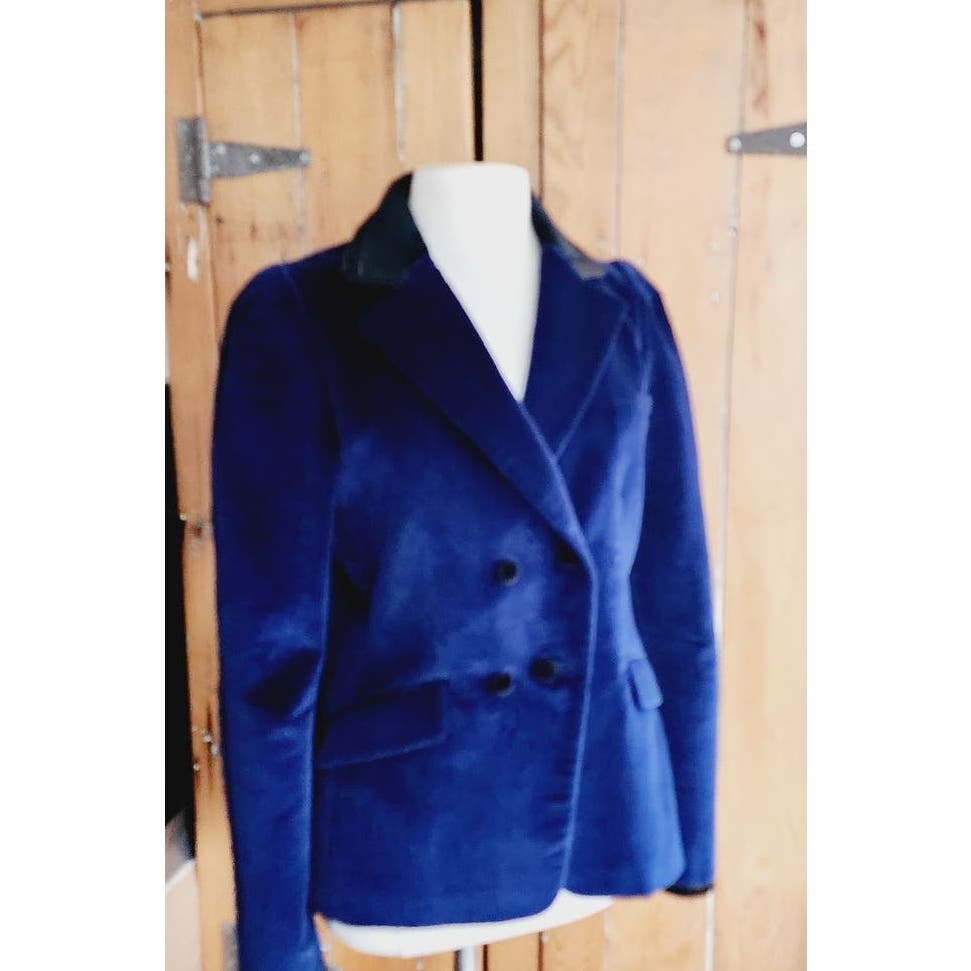 Altuzarra Blue Velvet Blazer NWT