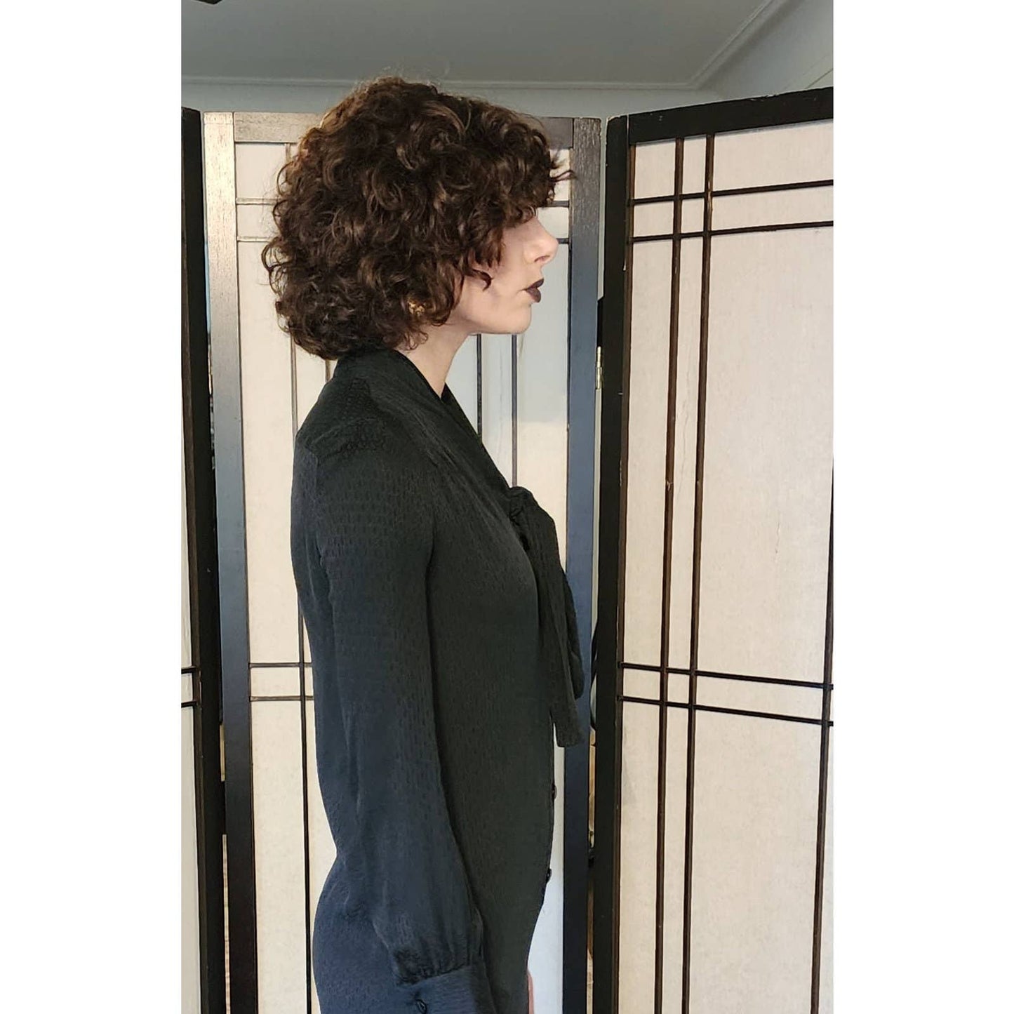 Vintage 70s Christian Dior Dress Long Sleeved Black Silk